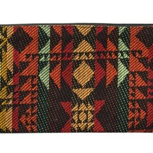 Piranha Multicolor Pattern Zipper eyewear Case for Sunglasses